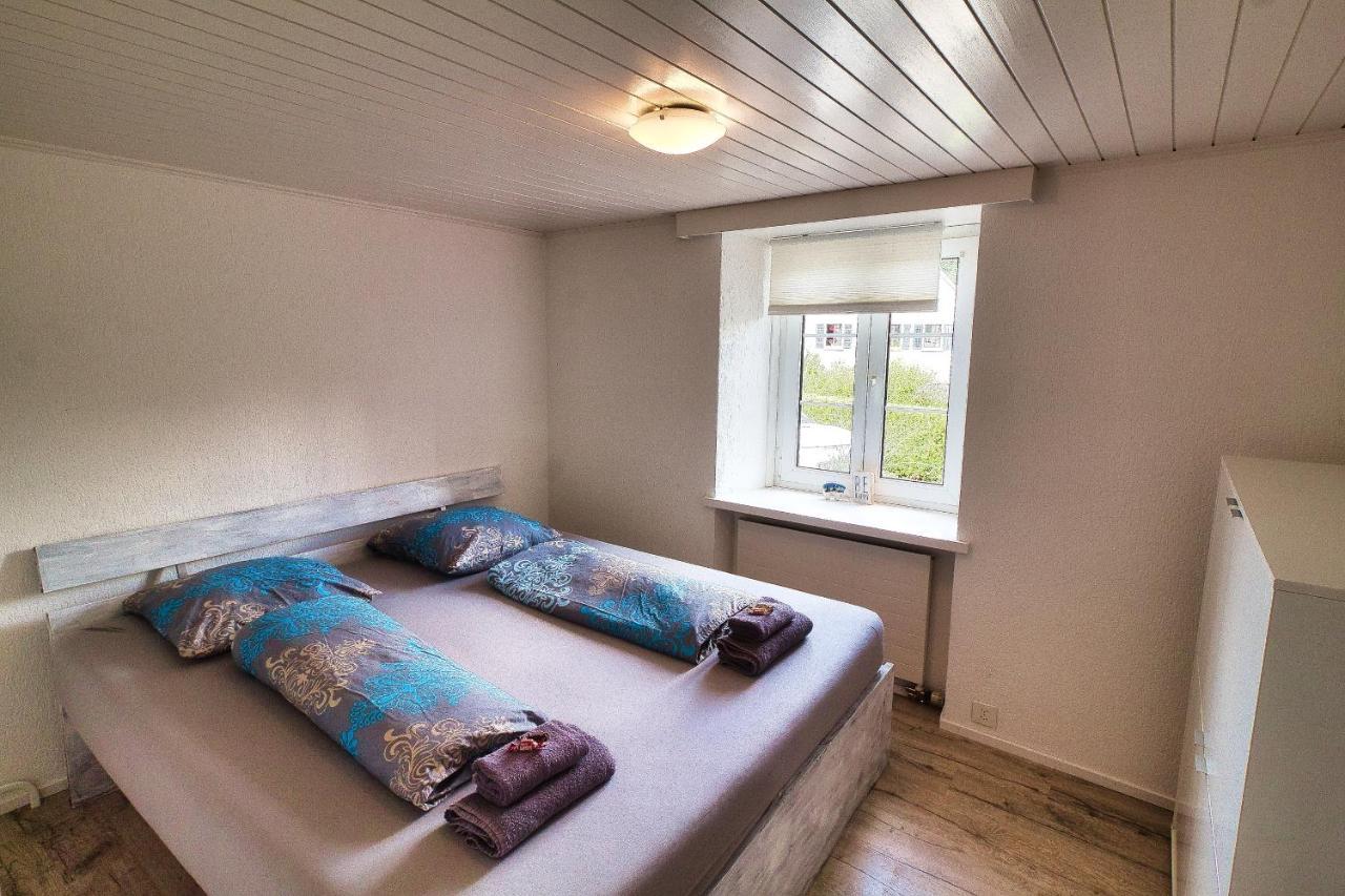Cozy Apartment Close To Zurich Airport And City Oberglatt Exterior foto