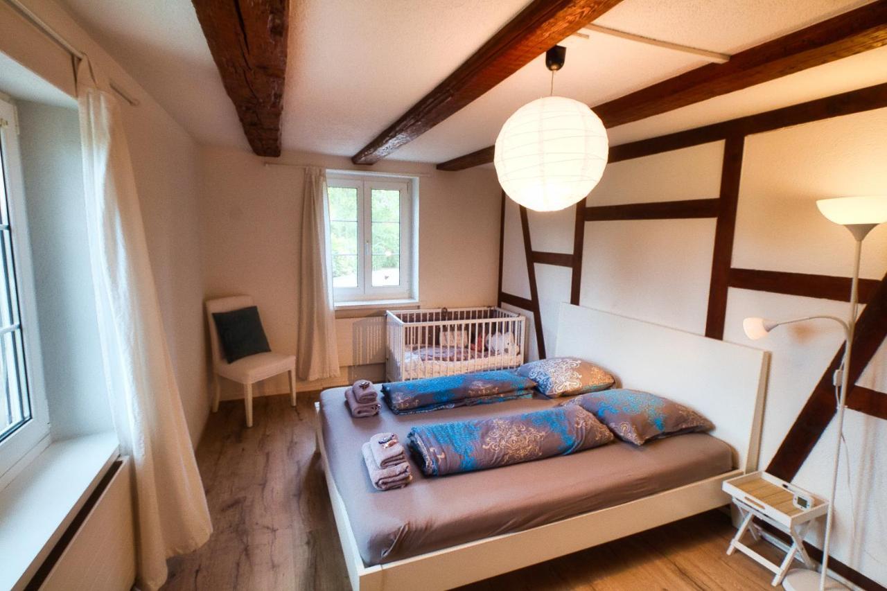 Cozy Apartment Close To Zurich Airport And City Oberglatt Exterior foto