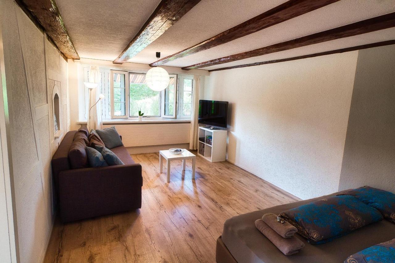 Cozy Apartment Close To Zurich Airport And City Oberglatt Exterior foto